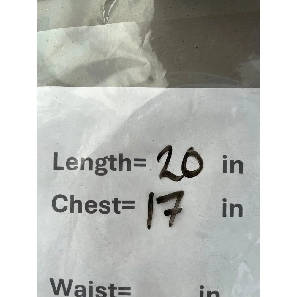 Skies Are Blue Lace Top Size Medium One Shoulder Ruffle Cream Boho Fairycore NEW - Picture 9 of 10